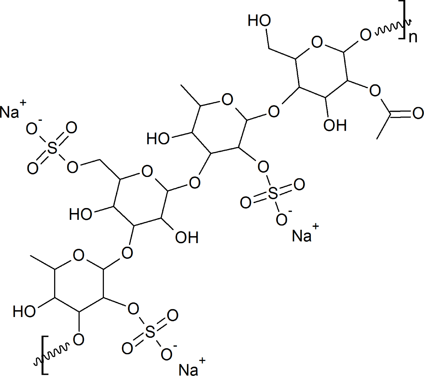 Undaria pinnatifida - small branch of the molecule